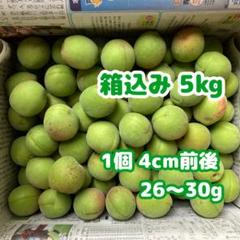 青森県産 青梅 5キロ ⑨ 青森県産 豊後梅 5kg 青梅 色梅 完熟梅 農薬不使用 - メルカリ