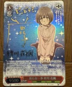 WS BP 青ブタ 表彰状 WS BP 青ブタ 表彰状 WS BP 青ブタ 表彰状