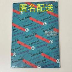 2025年最新】キャッチミーイフユーキャン パンフレットの人気