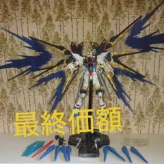 5月いっぱいまで出品 MG ストライクフリーダムガンダム 光の翼