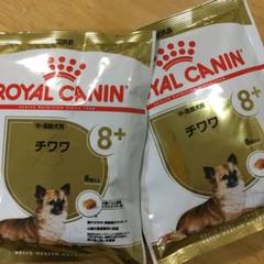 ロイヤルカナン 中・高齢犬用 試供品 50g×2袋