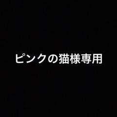 Salvatore Ferragamo セカンドバッグ　ブラック