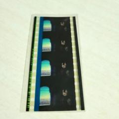 ラブライブ！サンシャイン！！ 劇場版 入場特典 フィルム 渡辺月