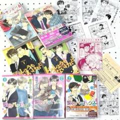 完結 飴色パラドックス いかさまメモリ 夏目イサク ボーイズラブ BL