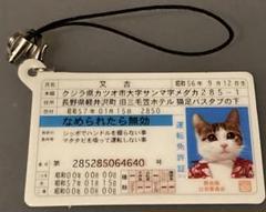 なめんなよ　なめ猫　又吉　マスコット　根付　ストラップ　昭和レトロ Amazon.co.jp: 元祖 なめ猫 なめんなよ なめねこ 又吉