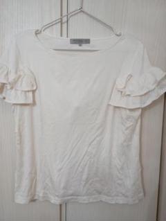 2025年最新】M-PREMIER カラー：ホワイト系 半袖(Tシャツ)の人気