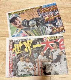 【保存用】2種WBC優勝記念⭐️ディリー、ニッカン侍ジャパン世界一⭐️大谷翔平 新聞
