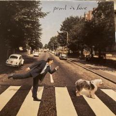 レア❗️PAUL IS LIVE in concert DVD　ビートルズ Paul Is Live: ポール・イズ・ライヴ～ニュー・ワールド・ツアー