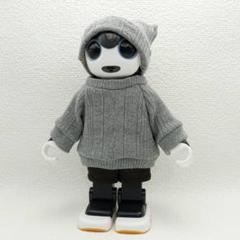 専用出品　ロボホン　くまさんキャップ3点 専用出品 ロボホン くまさんキャップ3点 - メルカリ