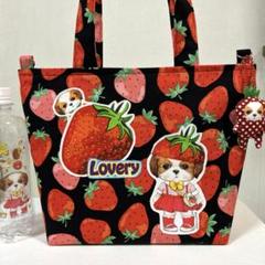 さ*ー様 あんこちゃん巾着バッグ　コヤンイサムチョン　ハンドメイド　いちごいっぱ ❤︎コヤンイサムチョン❤︎ アンコちゃん ハンドメイドバッグ