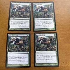 MTG　変異原性の成長　foil ３枚セット 買取相場】-MtG-(日)変異原性の成長 / Mutagenic Growth【NPH