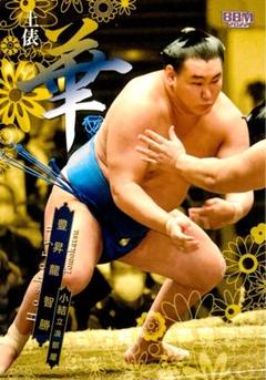 豊昇龍 土俵の華 レギュラーカード BBM 2022 大相撲カード 華
