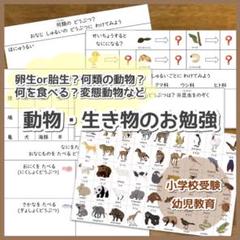 動物・生き物のお勉強 小学校受験対策 幼児教育