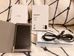 SONY ウォークマン NW-A45 16GB