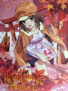 化物語 バケモノガタリ(4) なでこスネイク〈完全生産限定版〉