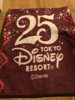 ディズニー 25周年 ブランケット