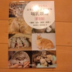 値下げ　カラーアトラス エキゾチックアニマルの診療指針〈Vol.1〉 カラーアトラスエキゾチックアニマル 鳥類編 ―種類・生態・飼育