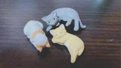 ガチャガチャ 猫
