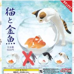 2025年最新】猫と金魚の人気アイテム - メルカリ