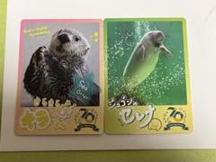 鳥羽水族館 ジュゴン セレナ セット カード レア アクスタ