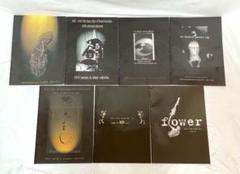 【alice auaa】2011a/w『de-form』カタログ alice auaa アリスアウアア カタログ 7冊 - メルカリ