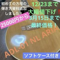 25000円から半額！】プロから譲られた初心者にも最適なギターを