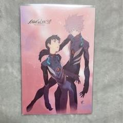 ヱヴァンゲリヲン新劇場版：破 ポストカードセット キャラクター編