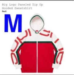 BigLogo Paneled Zip Up Hooded Sweatshirtのサムネイル