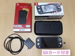 Nintendo Switch Lite スリムハードポーチ SDカード