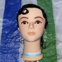 国家試験用オールウェーブウィッグ