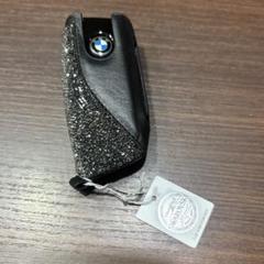 BMW(純正) スキー&スノーボートバッグ のパーツレビュー | X3(こ