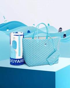 ゴヤール GOYARD ポワティエ2WAYショルダー ホワイト PVC