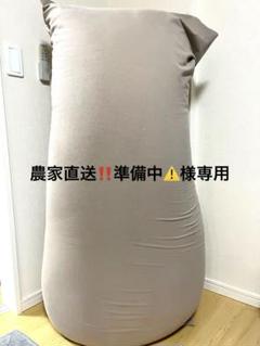 レアYogibo MAX チアパンダversion