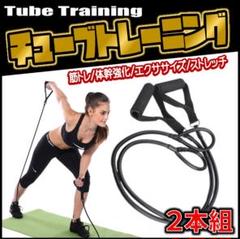 トレーニングチューブ エクササイズバンド チューブバンド ビリーズブートキャンプ