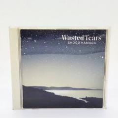 帯付き　美品　浜田省吾 wasted tears　レコード 浜田省吾 - WASTED TEARS レコードの通販店・販売の【レコード