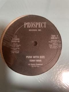 TERRY NOVA (12inch) - Push With Size