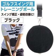 ゴルフ スイング トレーニング 基礎 練習器具 姿勢 ボール トレーナー 上達