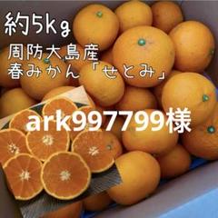 楽天市場】みかん せとか 5kg×2箱 〇等級 4L〜Lサイズ お