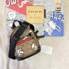 ピーナッツ スヌーピー クリスマスの中古 未使用品を探そう メルカリ