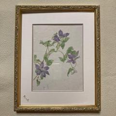 『野の花』 深沢紅子 作　無綴多色刷複製水彩画12枚組　限定350部1981年 野の花 深沢紅子 / 古本、中古本、古書籍の通販は「日本の古本屋