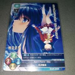 lycee ま〜まれぇど　8周年プロモカード　2カートン分 70726f647563742f796f79616b752f