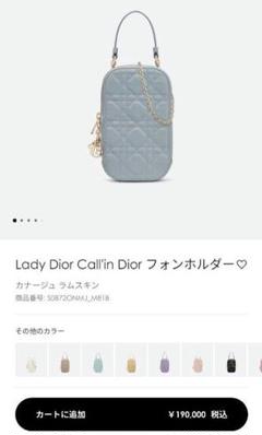 2025年最新】dior フォンホルダー ブルーの人気アイテム - メルカリ