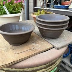 植木鉢楕円形徐錫義造落款有中古品盆栽鉢松さつき山野草中国