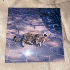 the奥歯's ＣＤ6枚セット The`奥歯sアルバム 邦ロック アルバム CD グット