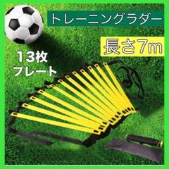 トレーニングラダー 7m 13枚プレート収納袋付き サッカー 陸上