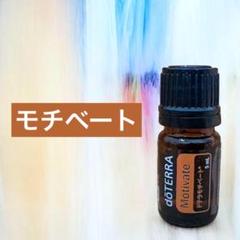 【新品・未開封】doTERRA（ドテラ）製品4点セット WA デラックス登録キット ドテラ ラルツ ディフューザー付き