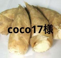 ねこ様　京都山城産　朝掘り筍10kg 京都山城産 朝掘り筍1kg