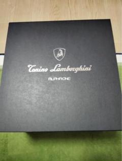 メェ♡美品Torino Lamborghini アルファーワン　ランボルギ 2025年最新】ランボルギーニ 美顔器の人気アイテム - メルカリ