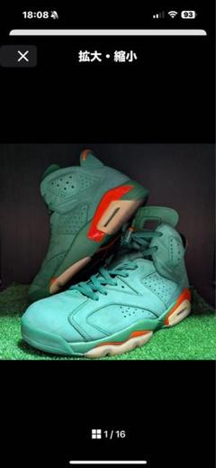 Jordan Air Jordan 6 27.5センチ 27.5 NIKE AIR JORDAN 6 RETRO LTR ジョーダン