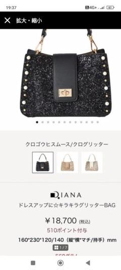 2025年最新】diana バッグ グリッターの人気アイテム - メルカリ